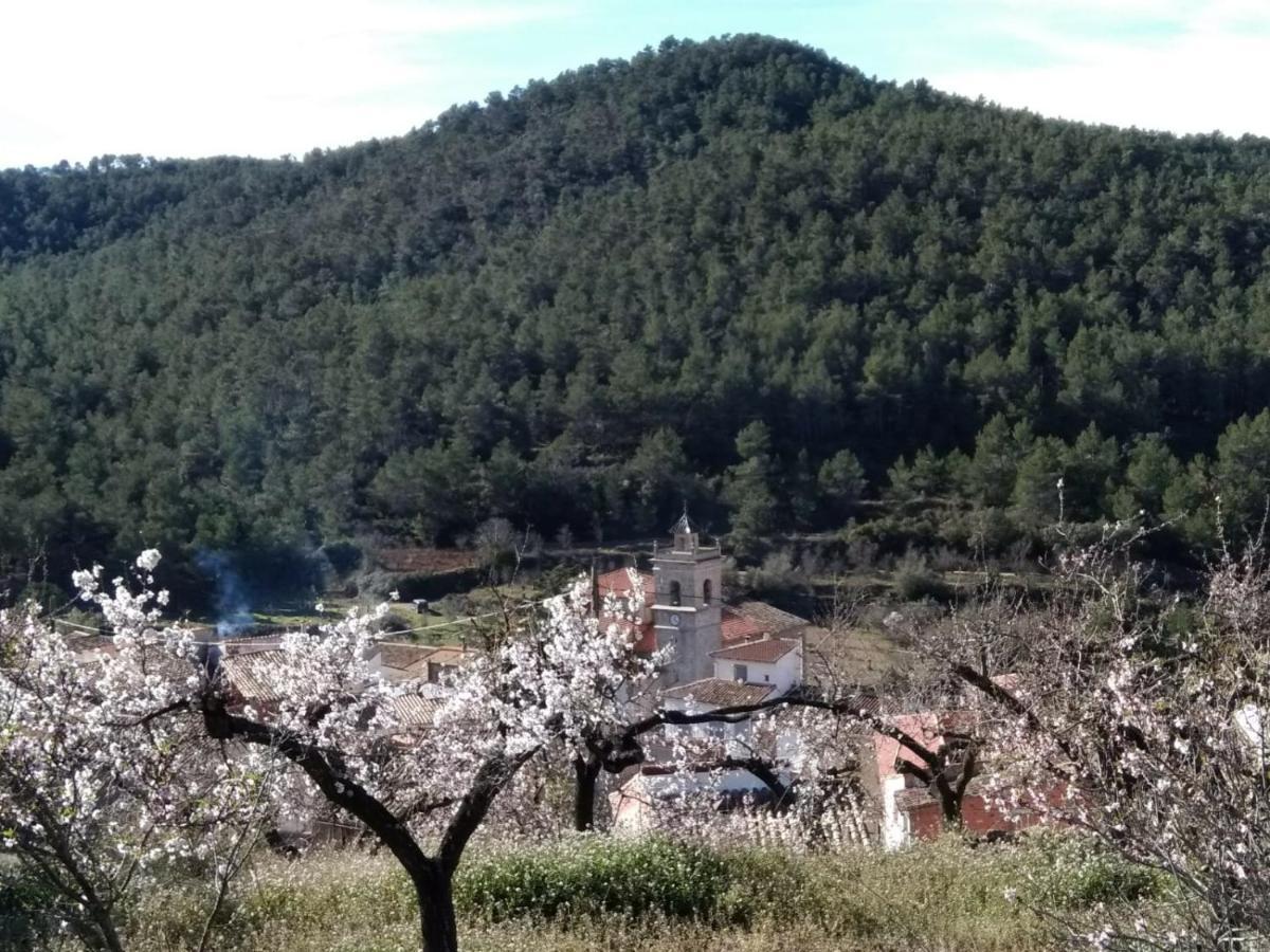 Penzion Casa De Amparo Y Jose Manuel Pavies Exteriér fotografie